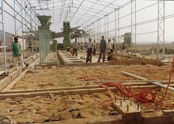 Cotton, Cotton Gin, Cottin Ginning, Blower, Condensor, Automation Systems, Automation Tooling Systems, Automation System Equipment, Textile Machinery Parts, Conveying Systems, Post Conveying Systems, Tunrkey Projects, Precleaner, Post Ginning, Raw Cotton Conveying Systems, Gin Stand, Cotton Feeding Systems, Press Feeding Systems, Cotton Seed Collection System, Lint Cleaner, Lint Conveying Systems, Ginning Machinery, Ginning Plants